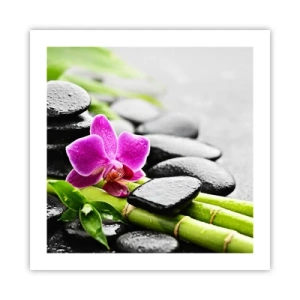 Affisch - Lugn balans - 50x50 cm