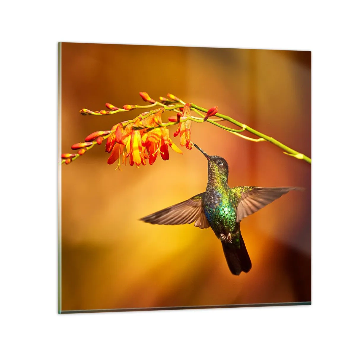 Glastavla - Bild på glas - Ljusbud enligt Mayafolket - 30x30 cm