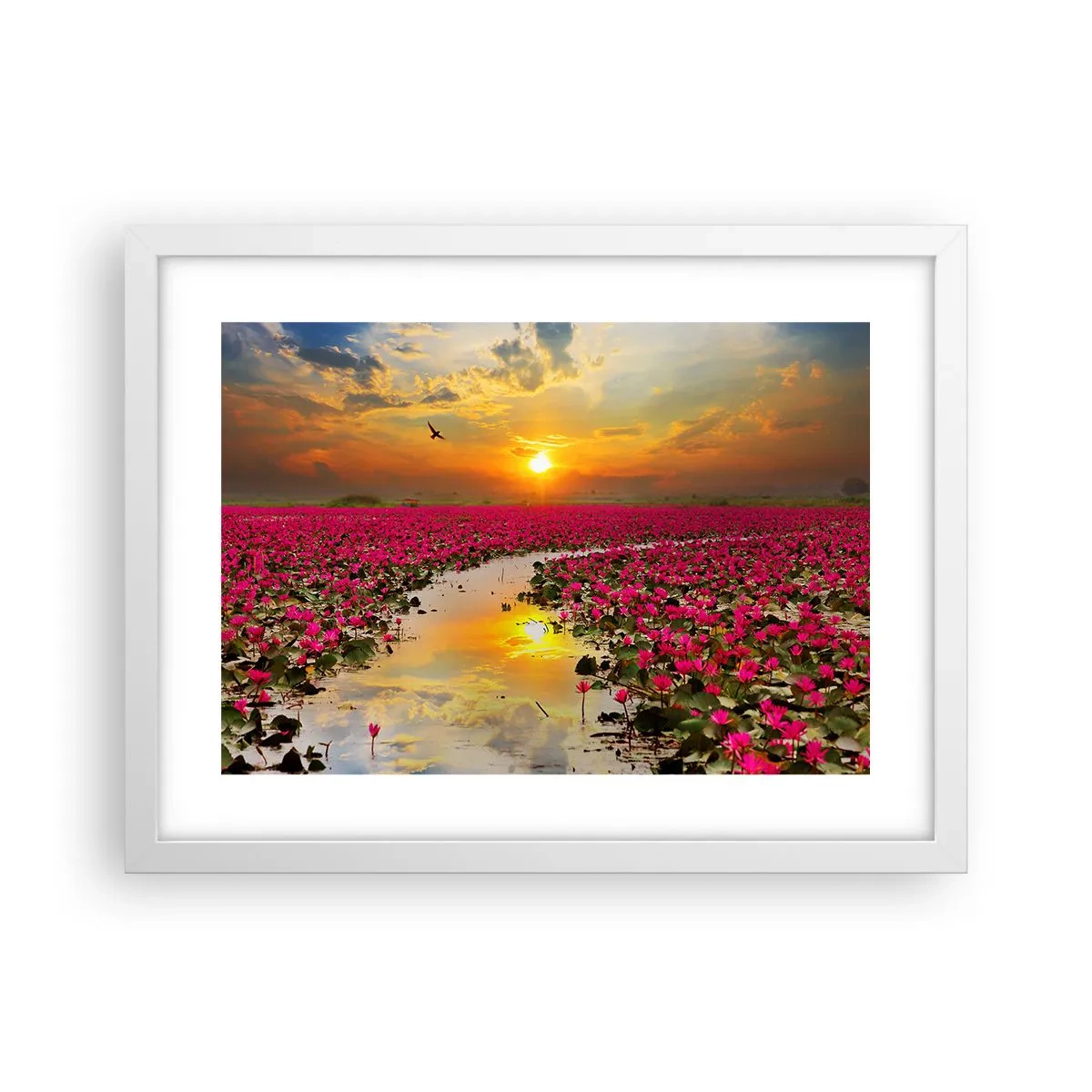 Affisch i vit ram - Sjöns hemlighetsfulla liv - 40x30 cm