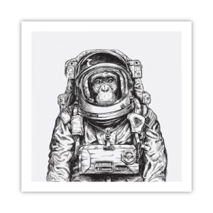 Affisch - Alternativ evolution - 60x60 cm