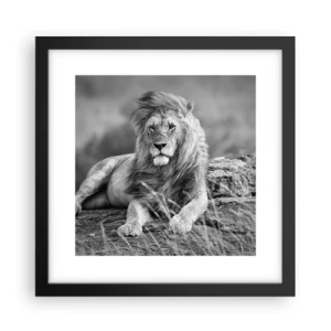 Affisch i svart ram - Kunglig siesta - 30x30 cm