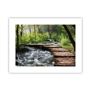 Affisch - Över skummande kaskad - 40x30 cm