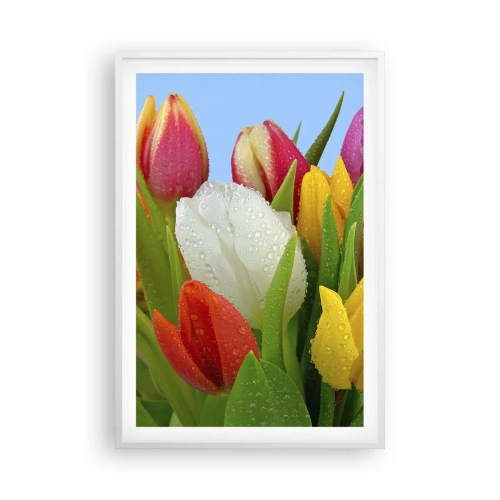 Affisch i vit ram - blommig regnbåge i daggdroppar - 61x91 cm