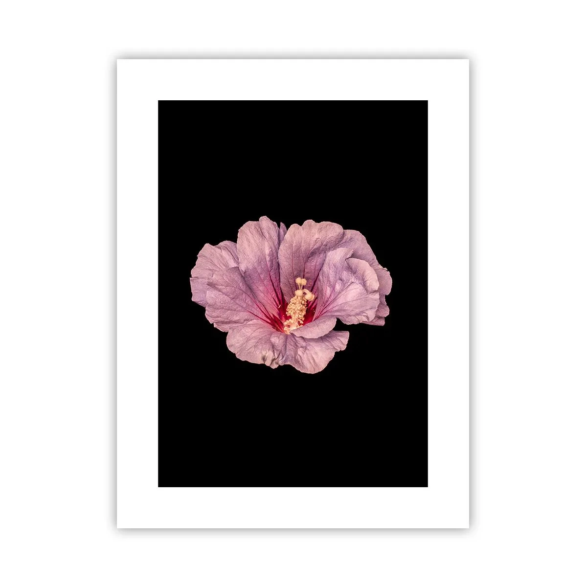 Affisch - Rakt till hjärtat - 30x40 cm