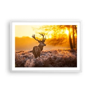 Affisch i vit ram - Höstskogens kung - 70x50 cm