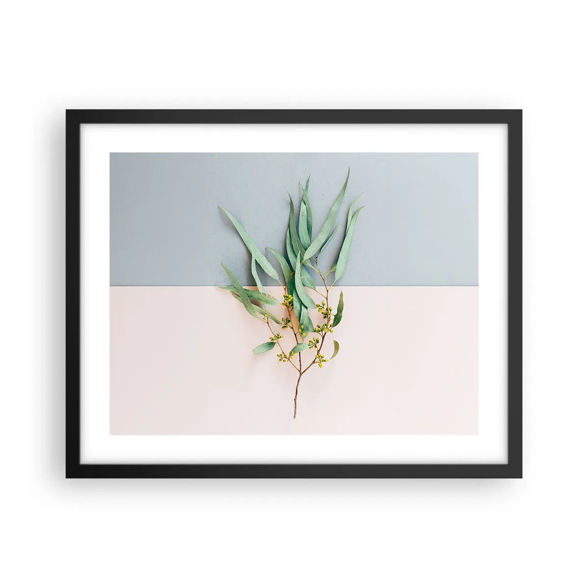 Affisch i svart ram - Pastellens subtilitet - 50x40 cm