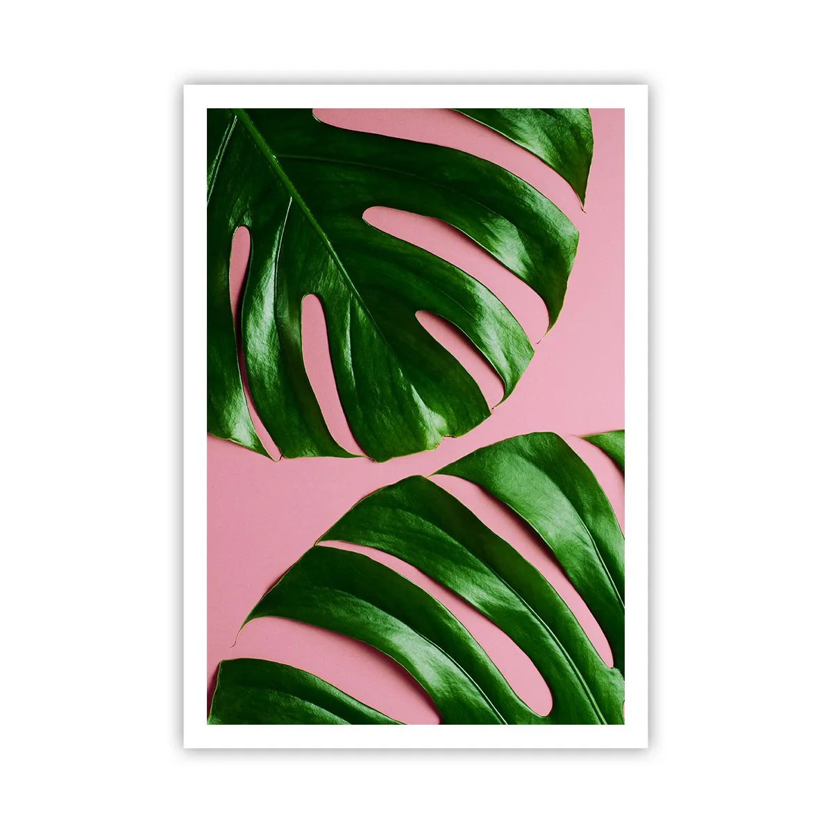 Affisch - Grön rendez-vous - 70x100 cm