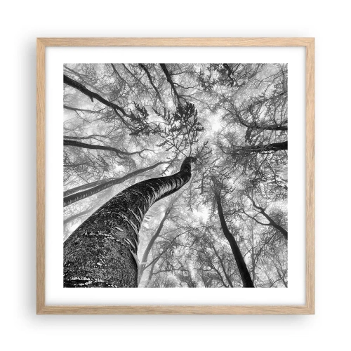 Affisch i ram av ljusek - Kapplöpning mot ljuset - 50x50 cm