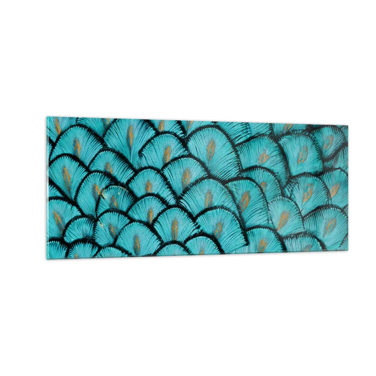 Glastavla - Bild på glas - Den stora fjädergalan - 100x40 cm