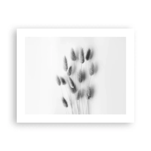 Affisch - Fluffigt gräs - 50x40 cm