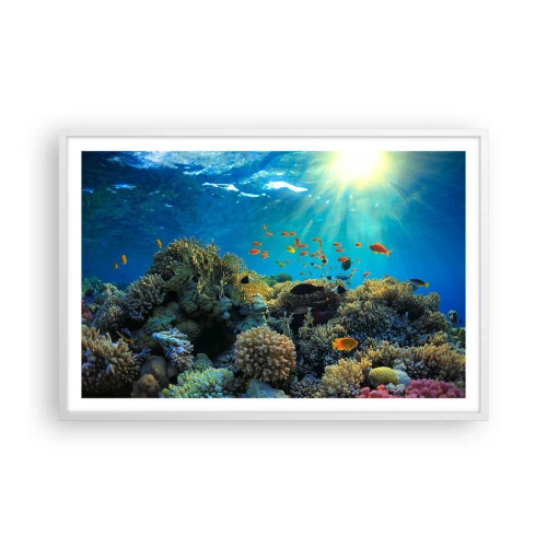 Affisch i vit ram - Undervatenskatter - 91x61 cm