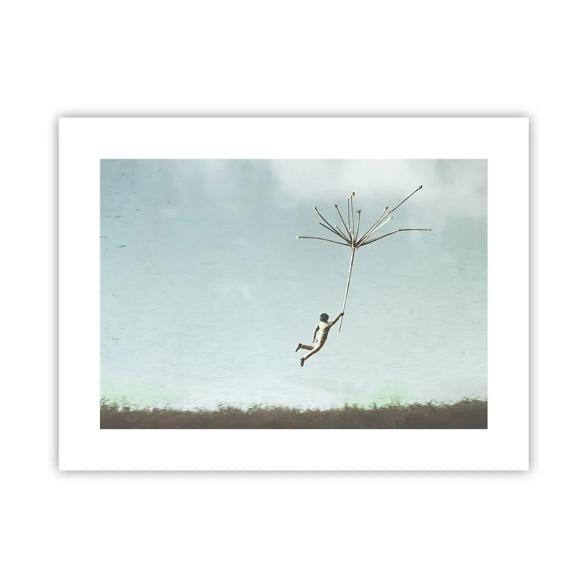 Affisch - Drakar, maskrosor, vind - 40x30 cm