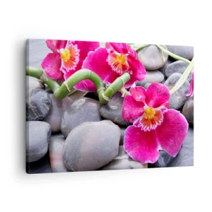 Canvastavla - Bild på duk - Rosa orkidéer mot en bakgrund av släta stenar - 70x50cm - Kyla och glöd - Modern väggdekoration för vardagsrum och sovrum ARTTOR