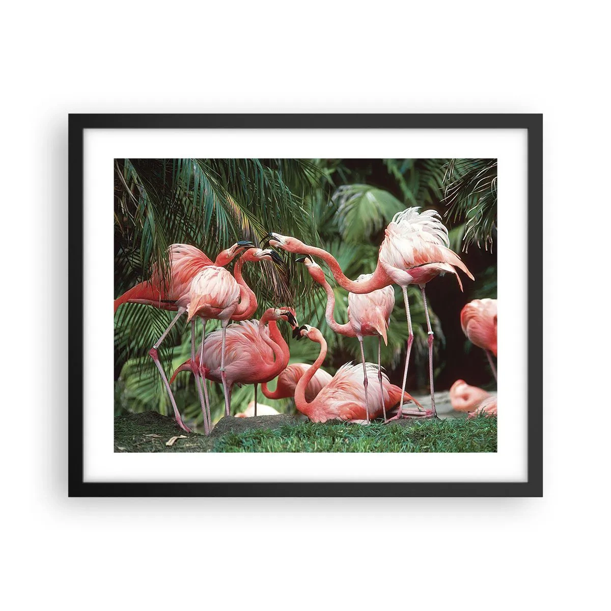 Affisch i svart ram - Eftermiddags skvaller - 50x40 cm