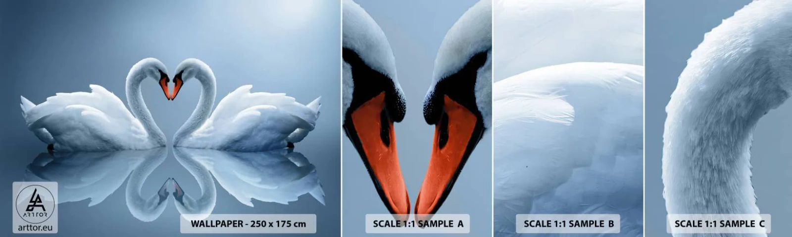Fototapet Prov Standard Eco - Tid för kärlek - Svanar, Kärlek, Hjärta - 100x30 cm