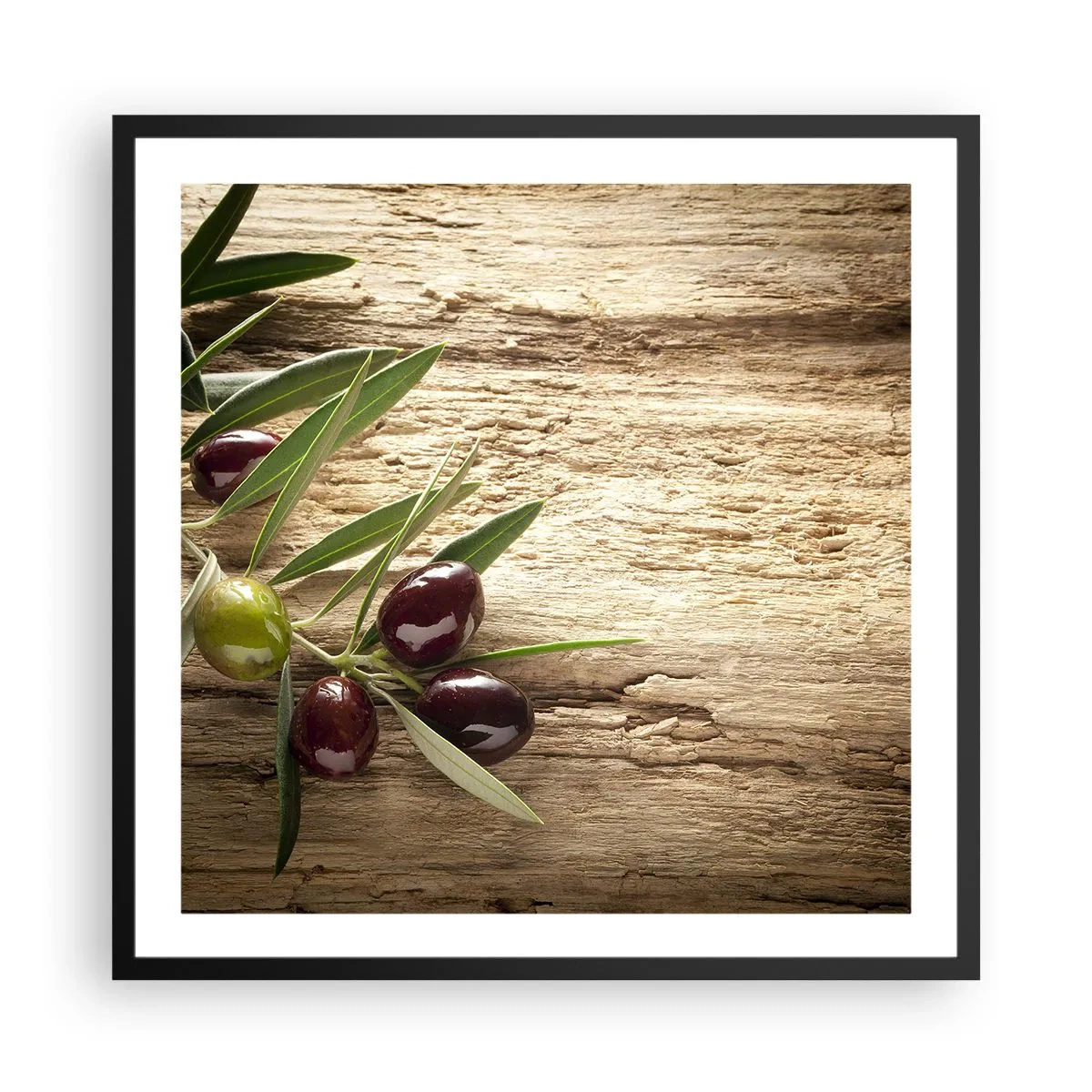 Affisch i svart ram - Direkt från naturen - 60x60 cm