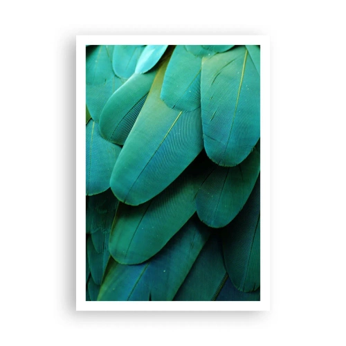 Affisch - Precision av papegojans natur - 70x100 cm