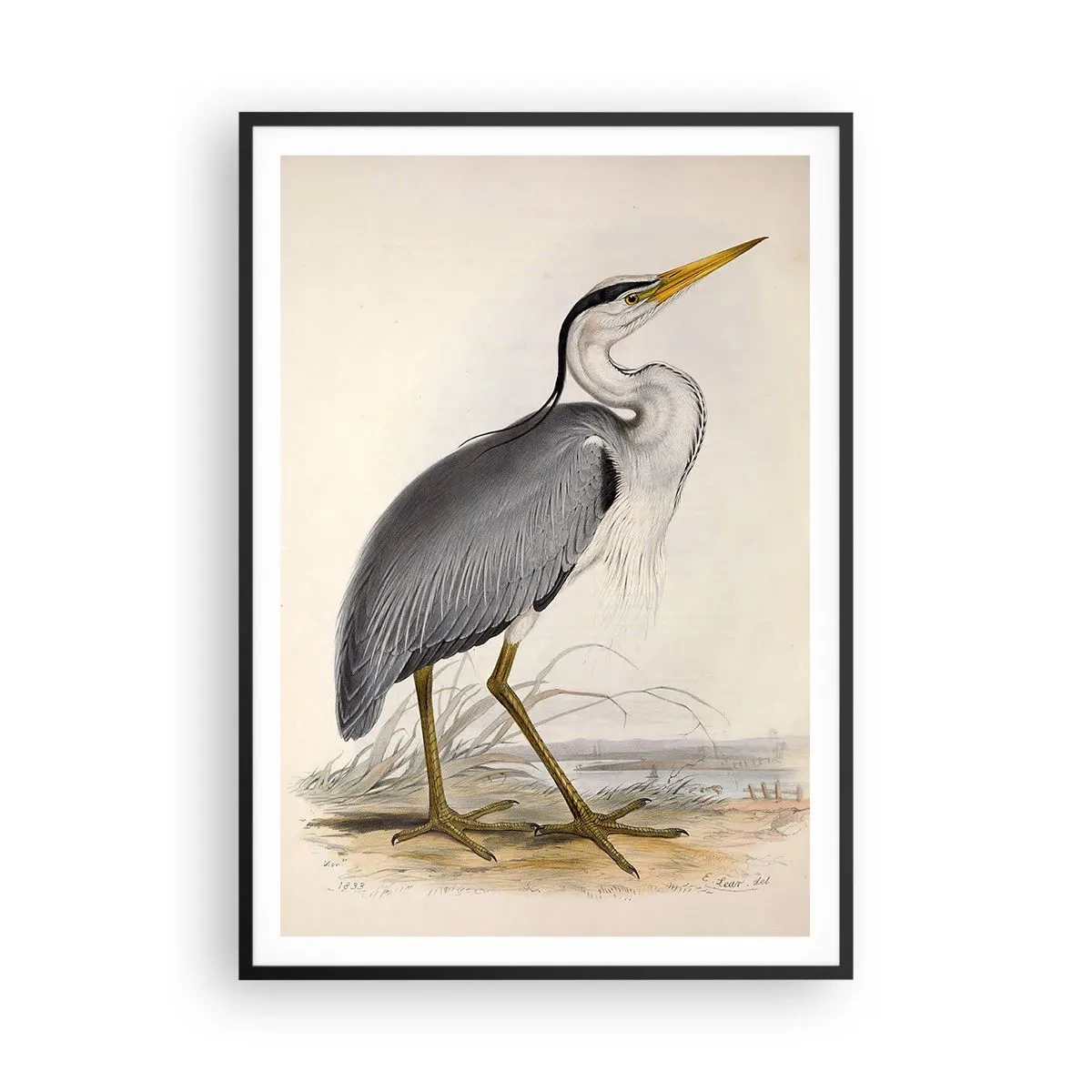 Affisch i svart ram - Hägers charm - 70x100 cm