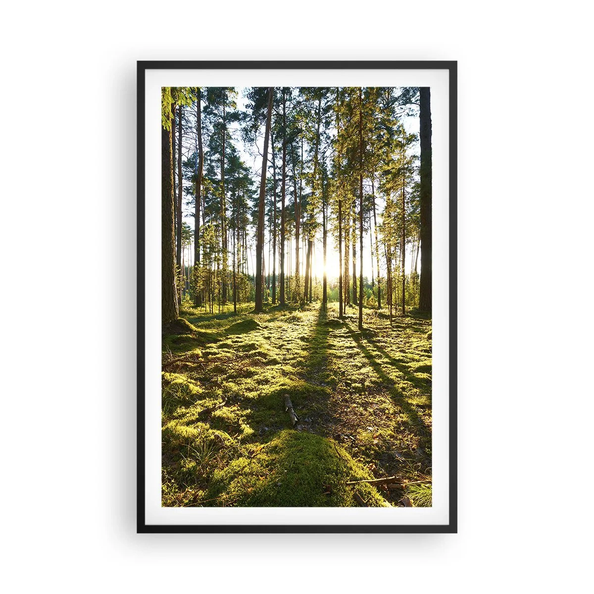Affisch i svart ram - ...Bortom sjunde skogen - 61x91 cm