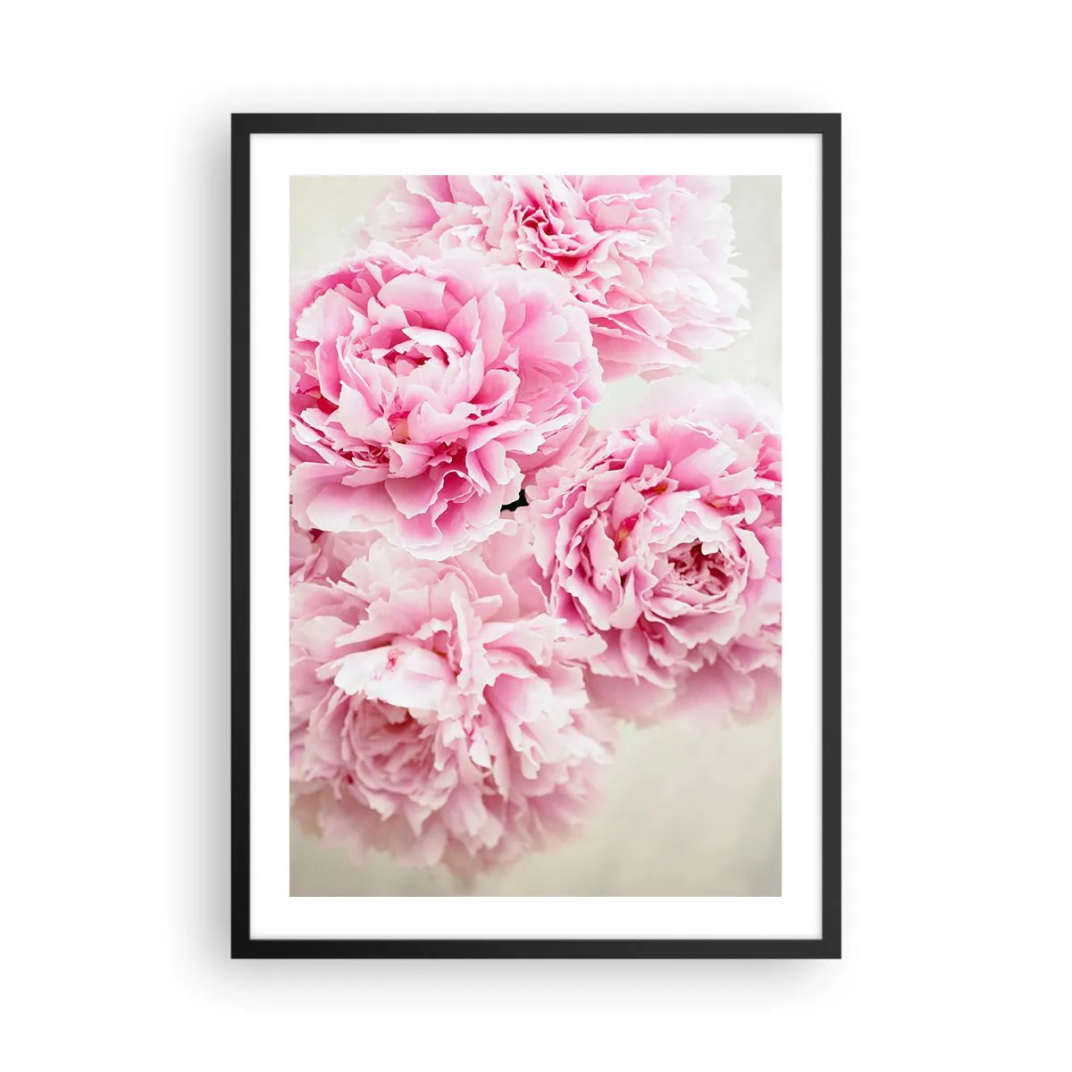 Affisch i svart ram - En bukett rosa pioner på en ljus bakgrund - 50x70cm - Rosa prakt - Modern väggdekoration för vardagsrum och sovrum ARTTOR