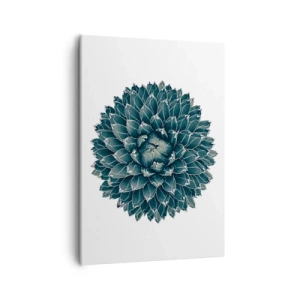 Canvastavla - Bild på duk - Öknens stjärna - 50x70 cm