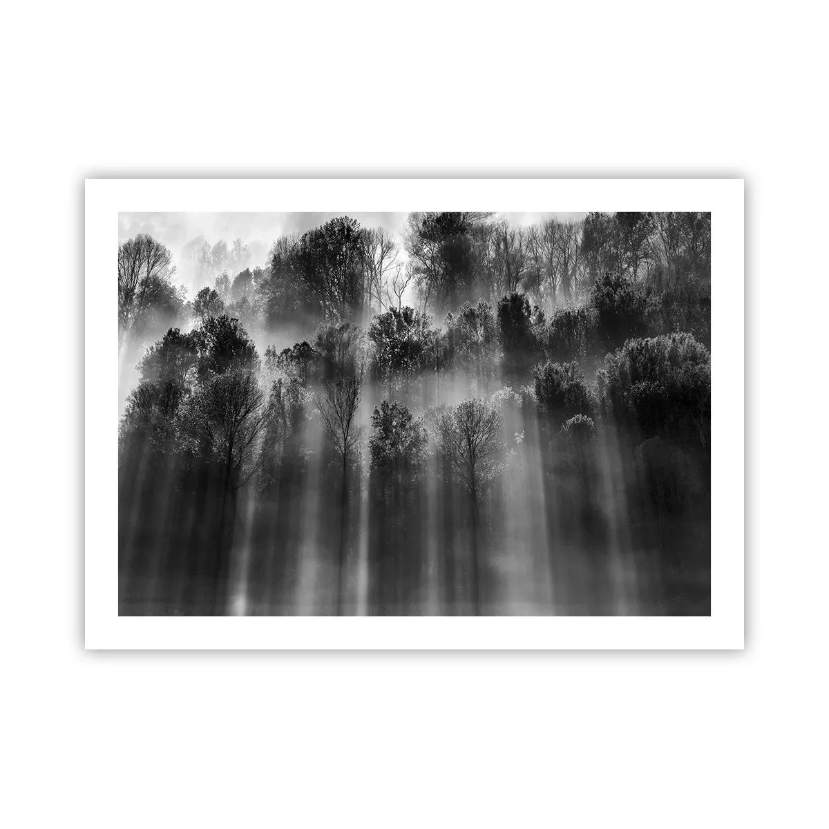 Affisch - I ljusstrålar - 70x50 cm