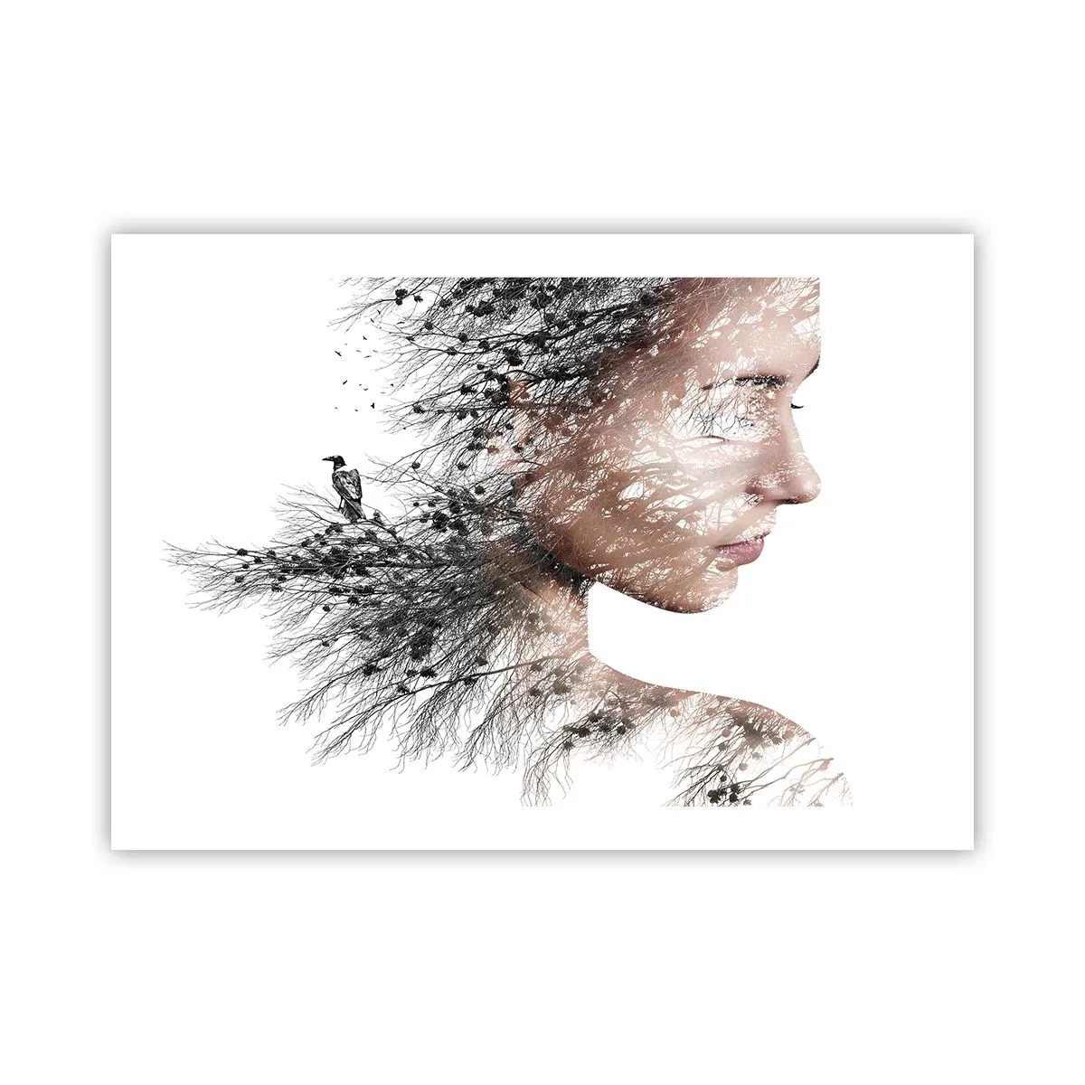 Affisch - Skogens ande - 70x50 cm