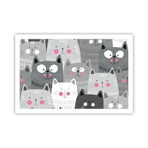 Affisch - Katternas värld - 91x61 cm