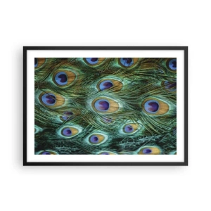 Affisch i svart ram - Påfågels blick - 70x50 cm