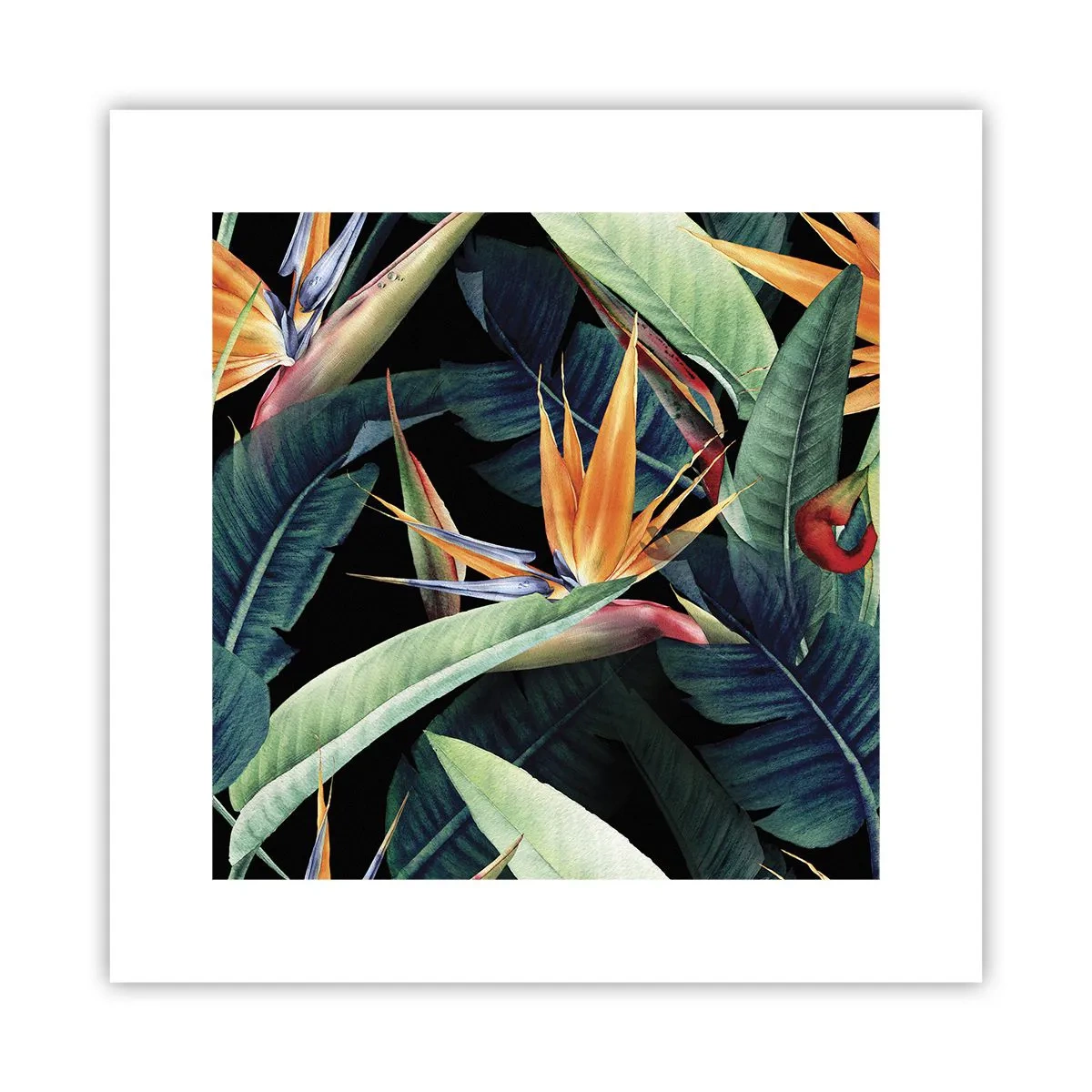 Affisch - Tropikens brinnande blommor - 30x30 cm