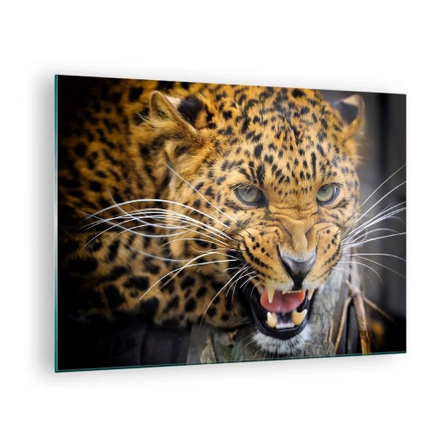 Glastavla - Bild på glas - Närbild av en aggressiv leopard med tydliga detaljer - 70x50cm - Gå inte fram, jag varnar! - Modern väggdekoration för vardagsrum och sovrum ARTTOR