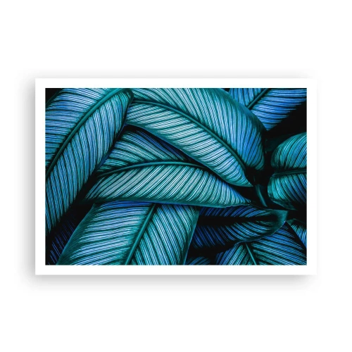 Affisch - Livslinjer - 100x70 cm