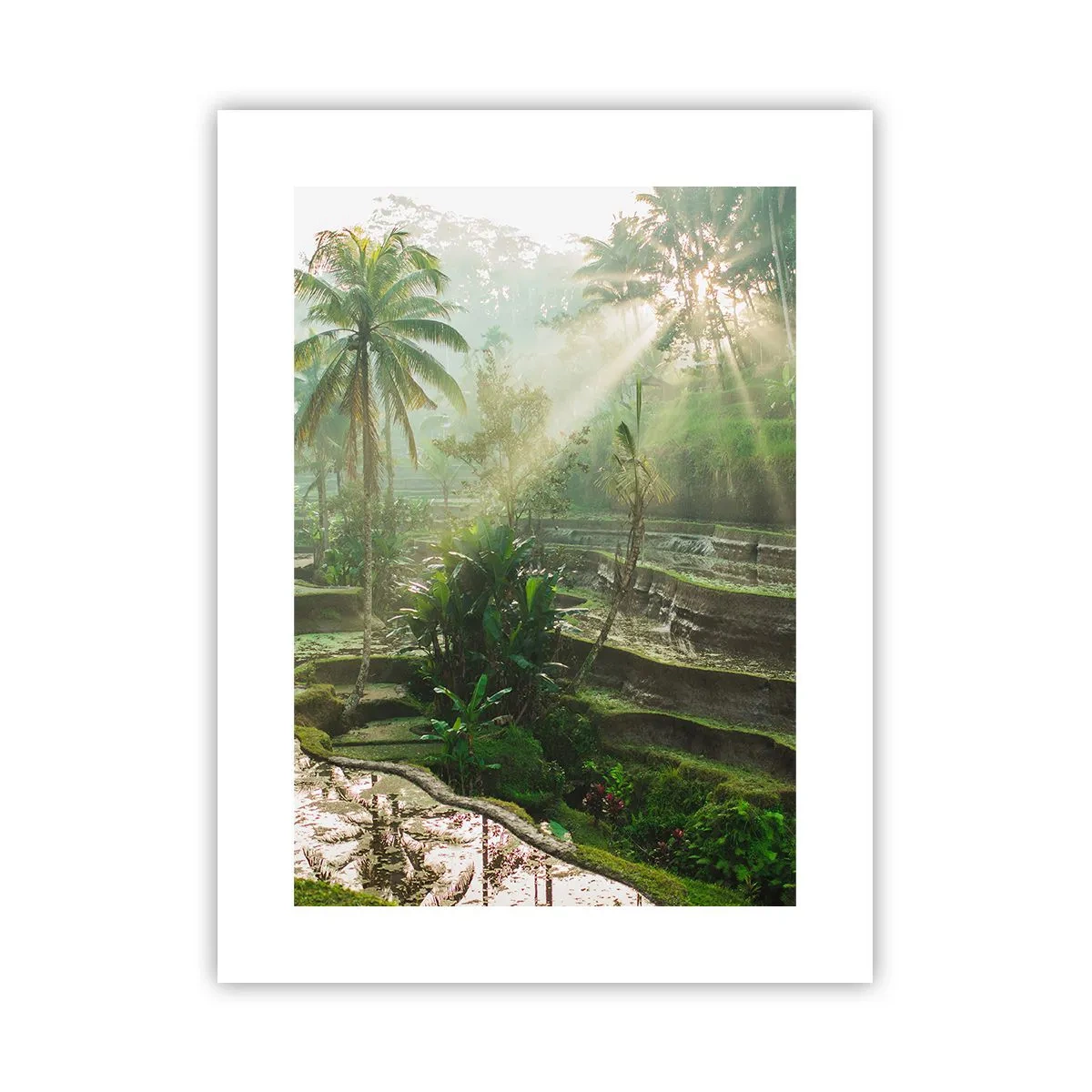 Affisch - Växa upp i solsken - 30x40 cm