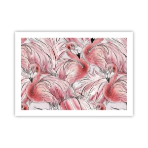 Affisch - Fåglarnas corps de ballet - 70x50 cm