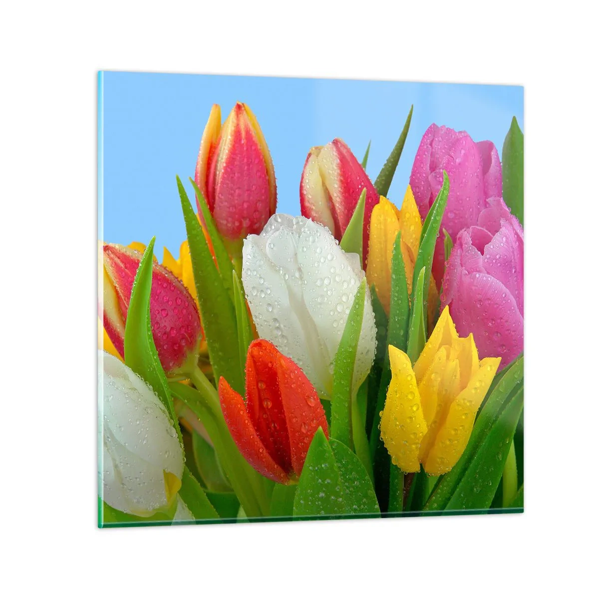 Glastavla - Bild på glas - blommig regnbåge i daggdroppar - 30x30 cm