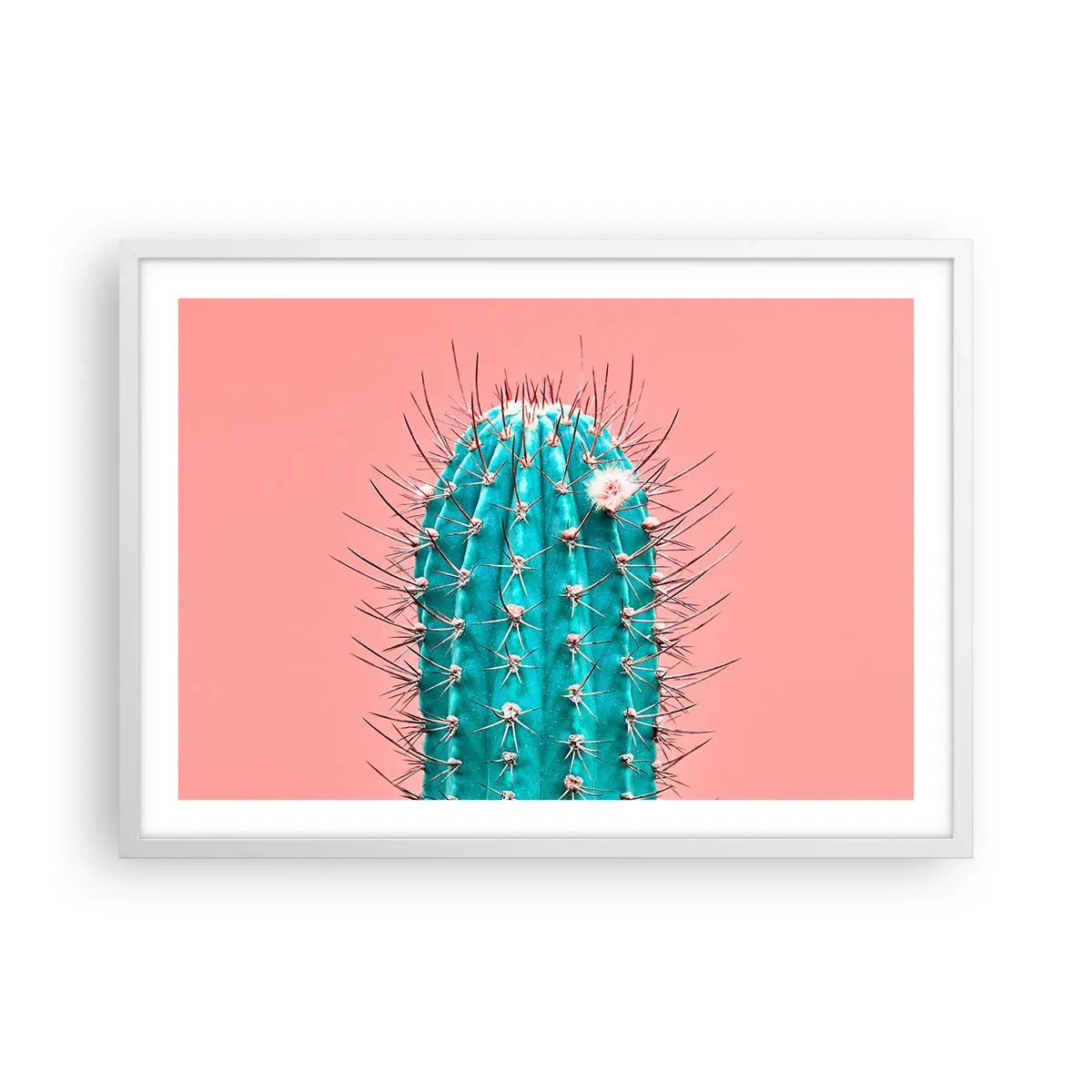 Affisch i vit ram - Titta bara - 70x50 cm