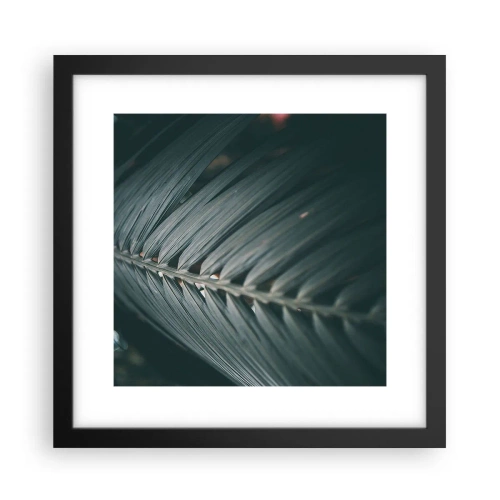 Affisch i svart ram - Naturens precision - 30x30 cm