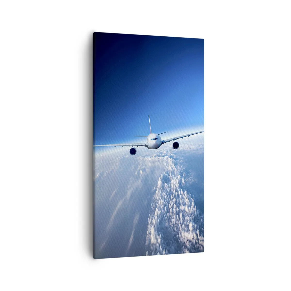 Canvastavla - Bild på duk - Jag flyger för jag vill - 55x100 cm