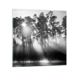 Glastavla - Bild på glas - Ostoppad sol - 50x50 cm