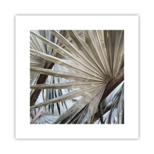 Affisch - Solfjädrarna i tropikerna - 30x30 cm