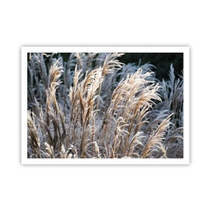 Affisch - Frostprydda - 100x70 cm