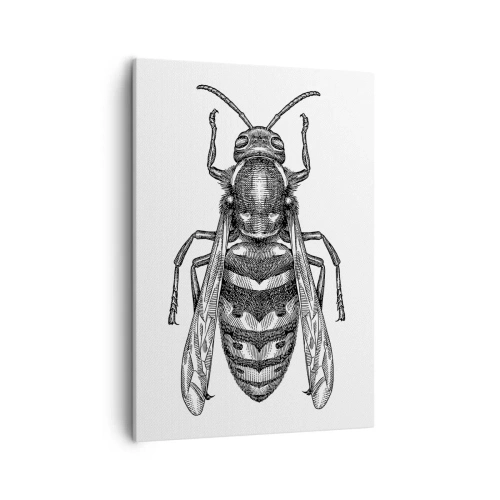 Canvastavla - Bild på duk - Från insektplaneten - 50x70 cm