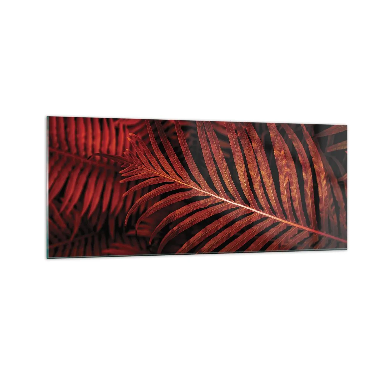 Glastavla - Bild på glas - Livets glöd - 100x40 cm