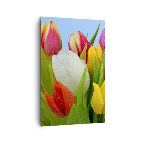 Canvastavla - Bild på duk - blommig regnbåge i daggdroppar - 80x120 cm