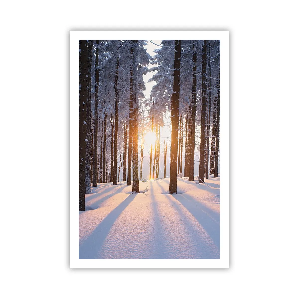 Affisch - Tydligt svart på vitt - 61x91 cm