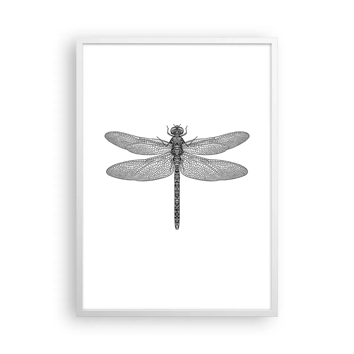 Affisch i vit ram - Precision i naturen - 50x70 cm