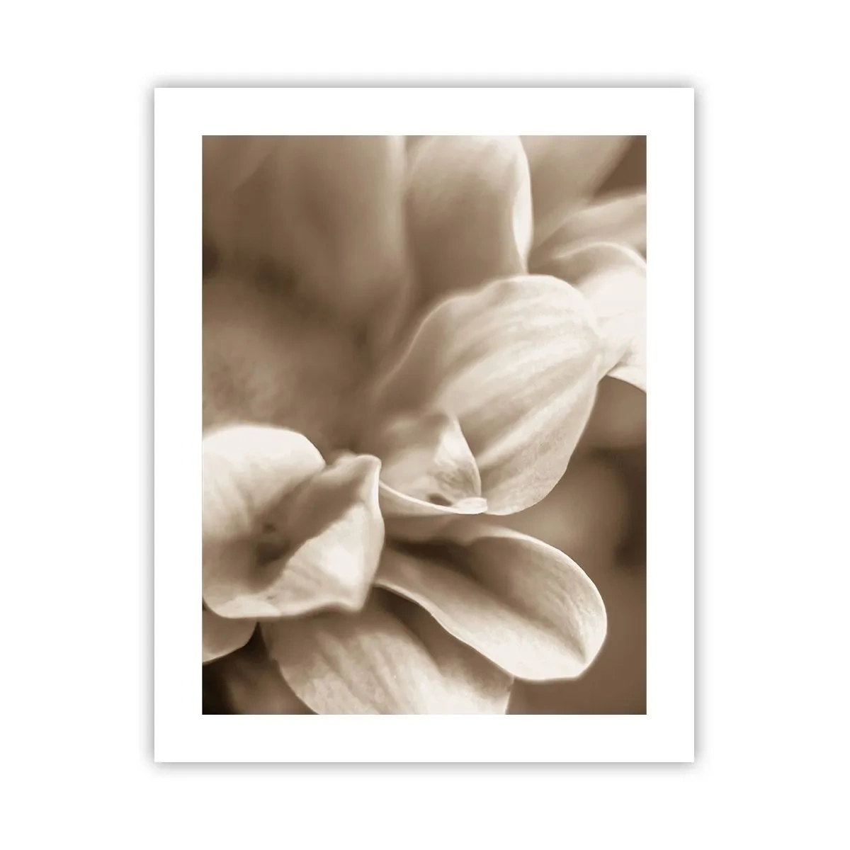 Affisch - Milda som ett leende - 40x50 cm