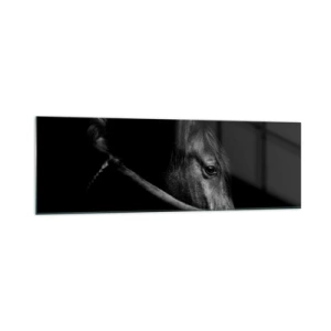 Glastavla - Bild på glas - Svart prins - 160x50 cm