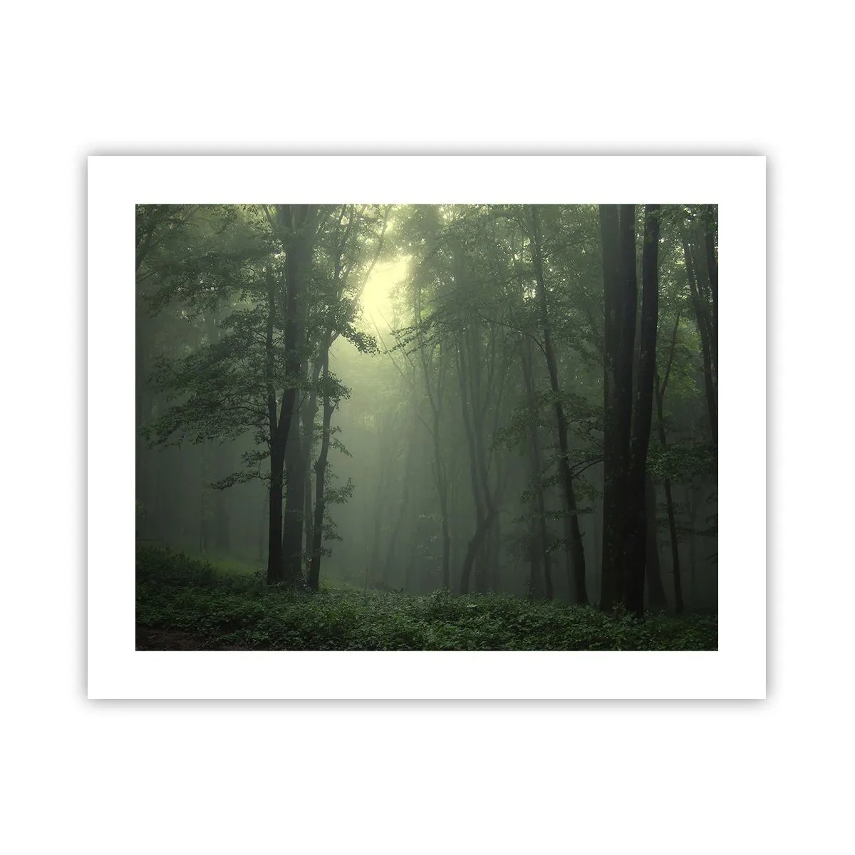 Affisch - Innan skogen vaknar - 50x40 cm