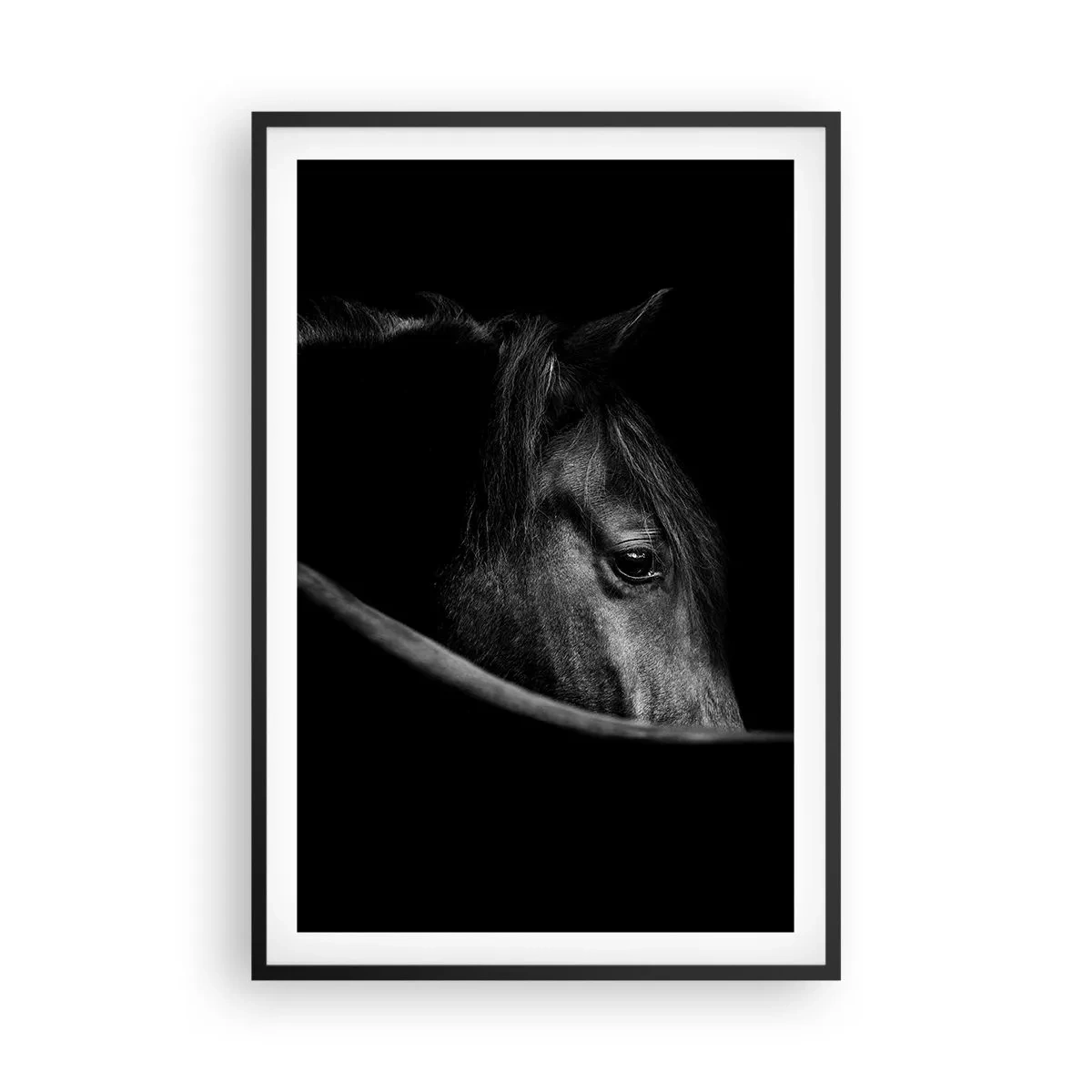 Affisch i svart ram - Svart prins - 61x91 cm